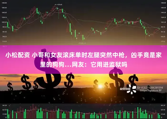 小松配资 小哥和女友滚床单时左腿突然中枪，凶手竟是家里的狗狗…网友：它用进监狱吗