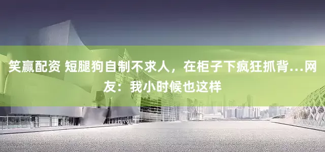 笑赢配资 短腿狗自制不求人，在柜子下疯狂抓背…网友：我小时候也这样