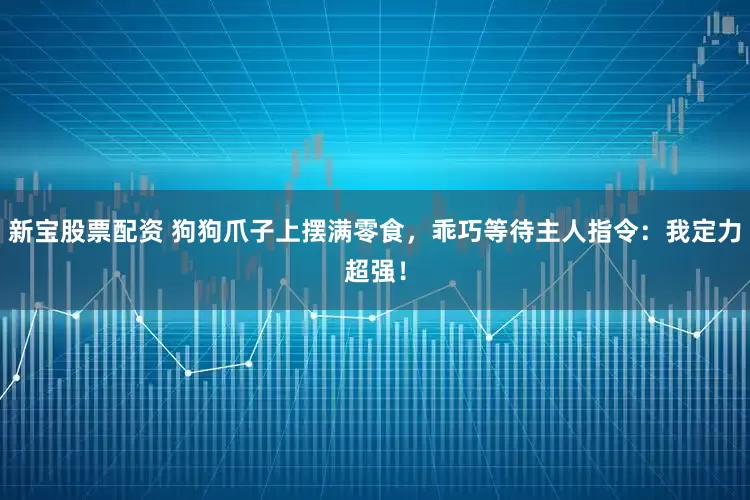 新宝股票配资 狗狗爪子上摆满零食，乖巧等待主人指令：我定力超强！