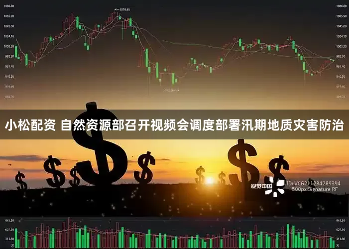 小松配资 自然资源部召开视频会调度部署汛期地质灾害防治