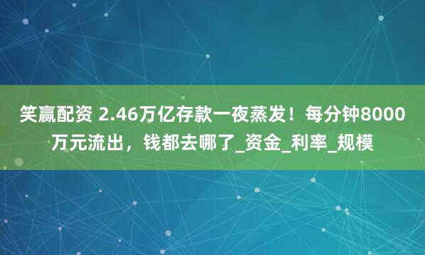 笑赢配资 2.46万亿存款一夜蒸发！每分钟8000万元流出，钱都去哪了_资金_利率_规模