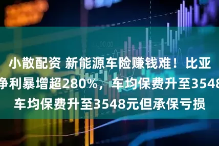 小散配资 新能源车险赚钱难！比亚迪财险上半年净利暴增超280%，车均保费升至3548元但承保亏损